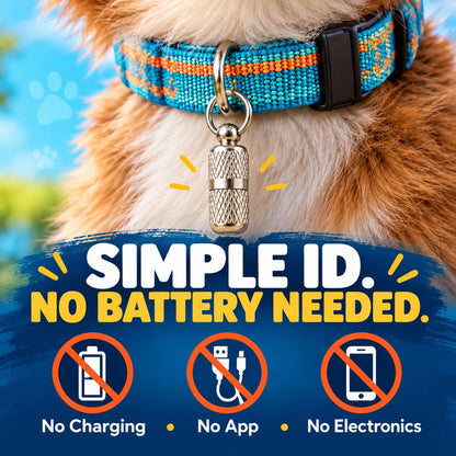 Dog ID Contact Capsule 3-Pack – Emergency Info Tag