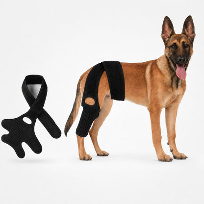 Dog Joint Support Brace – Senior Leg Stability