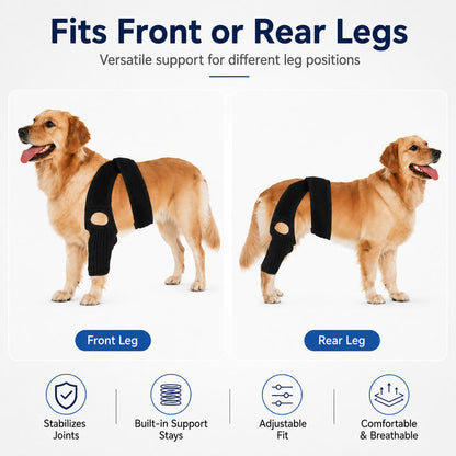 Dog Joint Support Brace – Senior Leg Stability