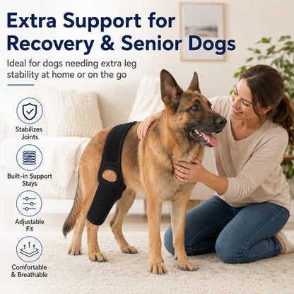 Dog Joint Support Brace – Senior Leg Stability