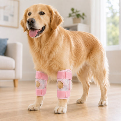 Dog Knee Support Brace – Front & Rear Joint Support