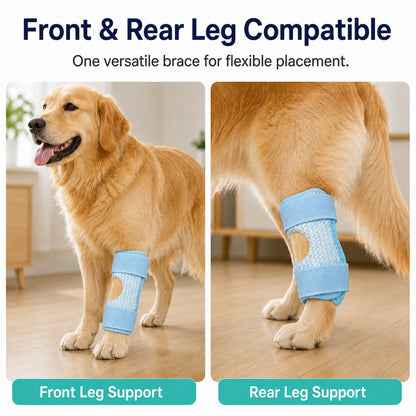 Dog Knee Support Brace – Front & Rear Joint Support
