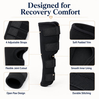 Dog Rear Leg Recovery Brace – Stops Licking After Surgery
