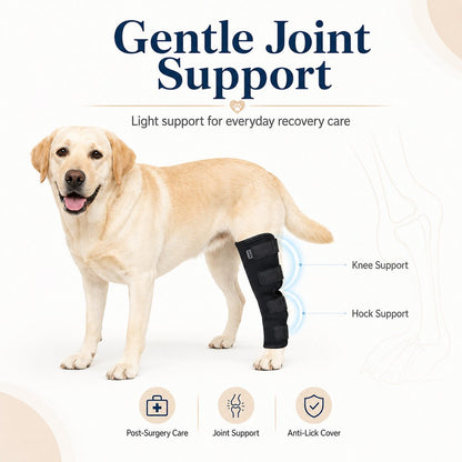 Dog Rear Leg Recovery Brace – Stops Licking After Surgery