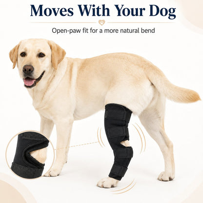 Dog Rear Leg Recovery Brace – Stops Licking After Surgery