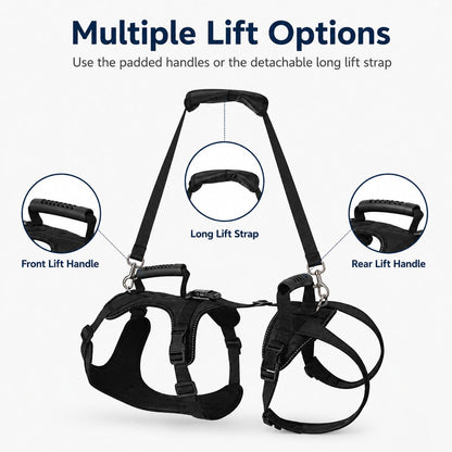 Large Dog Full-Body Lift Harness – Stairs & Car Help