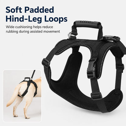Large Dog Full-Body Lift Harness – Stairs & Car Help