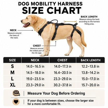 Full-Body Dog Lift Harness – Weak Hind Leg Support