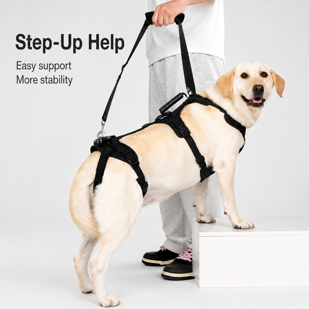 Large Dog Full-Body Lift Harness – Stairs & Car Help