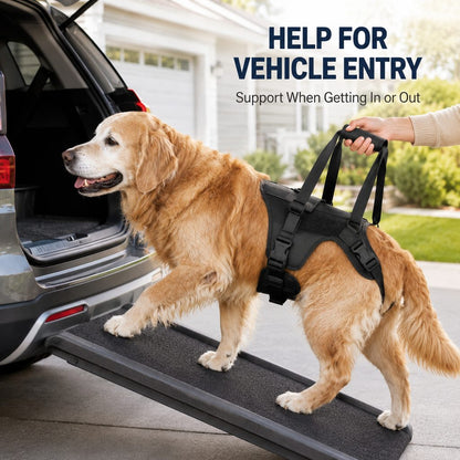 Full-Body Dog Lift Harness – Stairs & Car Support