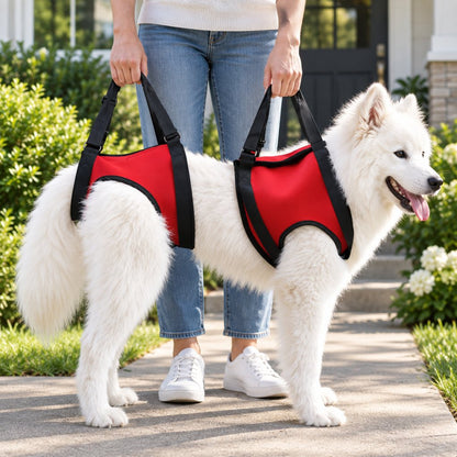 Dog Mobility Lift Harness – Front & Rear Support