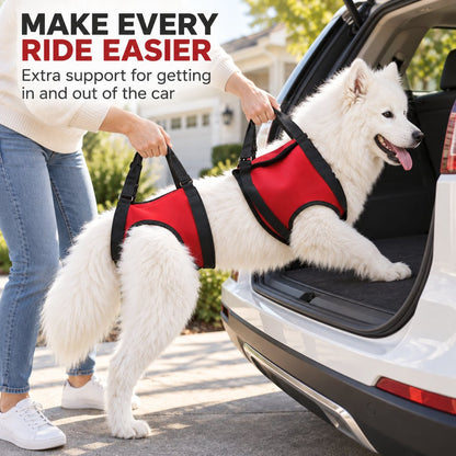 Dog Mobility Lift Harness – Front & Rear Support