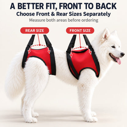 Dog Mobility Lift Harness – Front & Rear Support