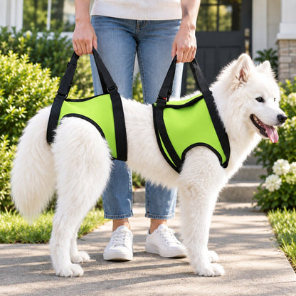 Dog Mobility Lift Harness – Front & Rear Support