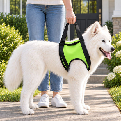Dog Mobility Lift Harness – Front & Rear Support