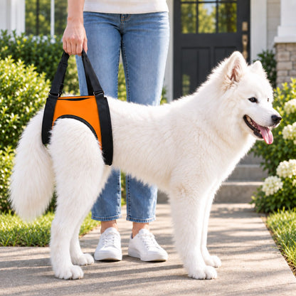 Dog Mobility Lift Harness – Front & Rear Support