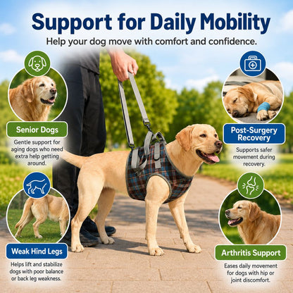 Dog Mobility Harness – Front or Rear Lift Assist