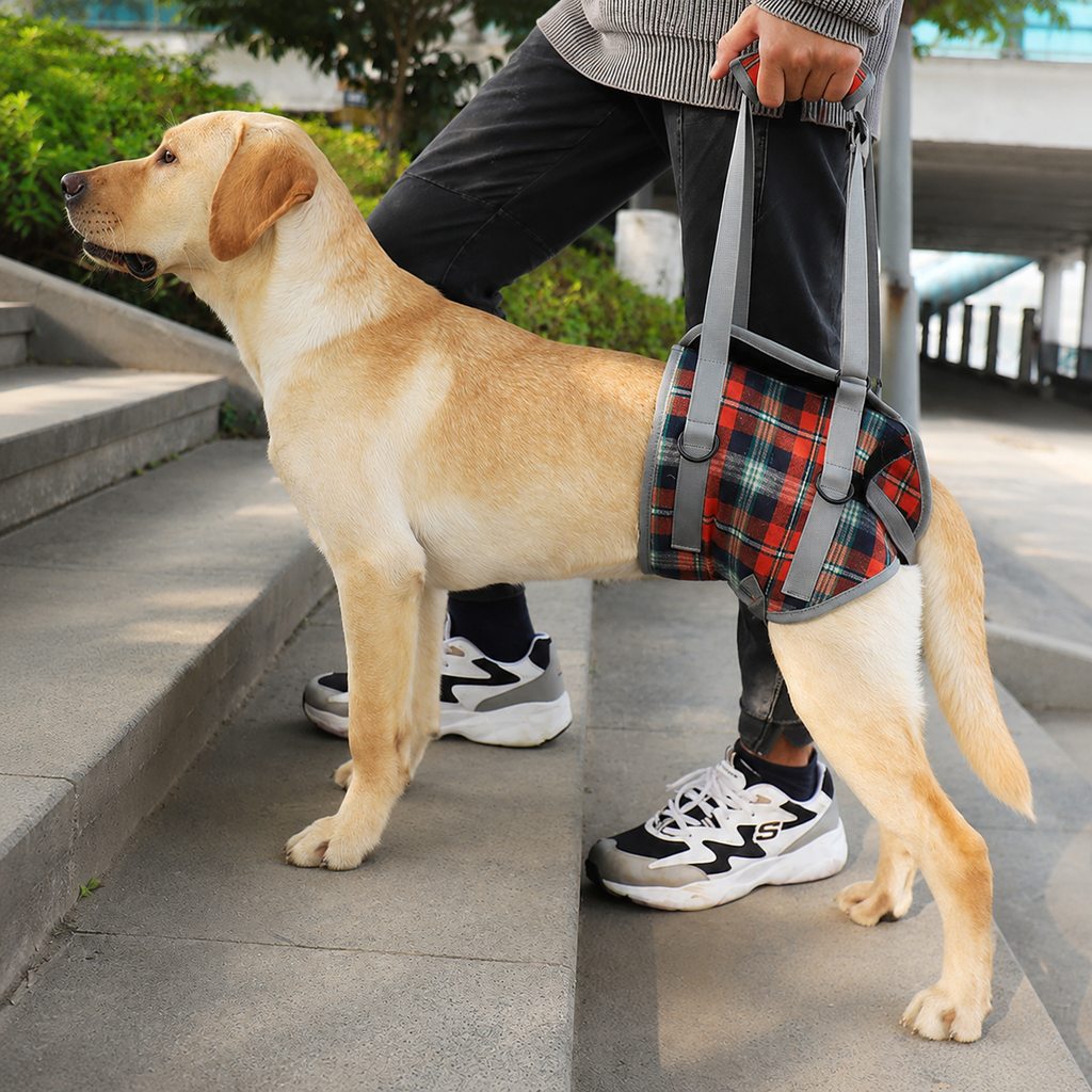 Dog Mobility Harness – Front or Rear Lift Assist