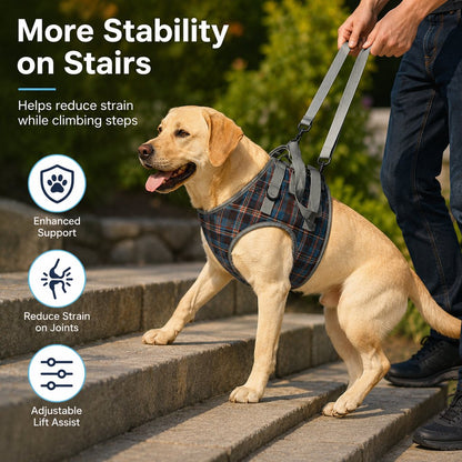 Dog Mobility Harness – Front or Rear Lift Assist