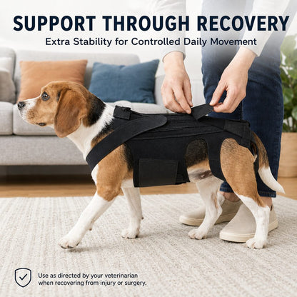 Dog Back Support Vest – Walking Stability