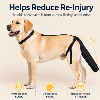 Padded Dog Tail Protector – Recovery & Walks