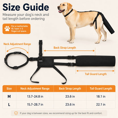 Padded Dog Tail Protector – Recovery & Walks
