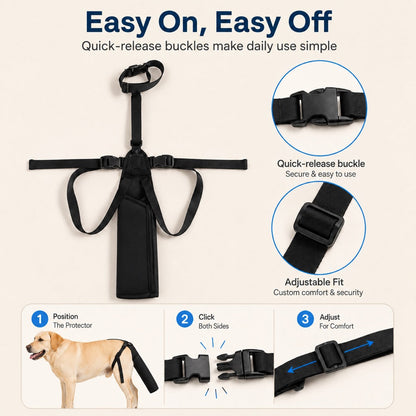 Padded Dog Tail Protector – Recovery & Walks