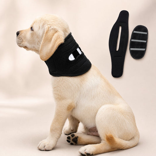 Soft Dog Neck Brace – Comfortable Post-Surgery Support