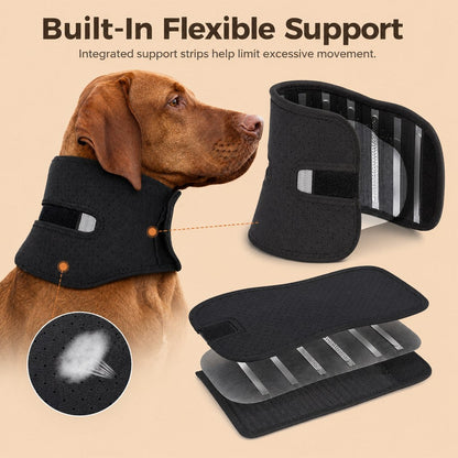 Dog Neck Support Brace – Breathable Recovery Collar