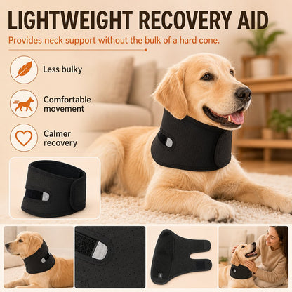 Soft Dog Neck Brace – Comfortable Post-Surgery Support