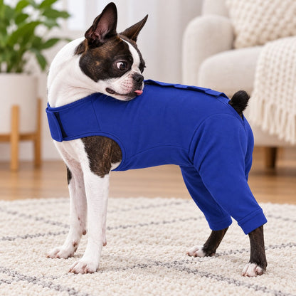 Dog Recovery Suit – Rear Leg Cone Alternative