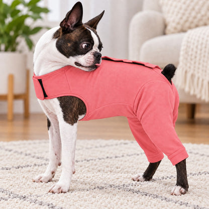Dog Recovery Suit – Rear Leg Cone Alternative