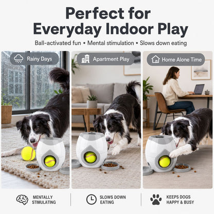 Ball-Activated Dog Puzzle Feeder – Play & Slow Eating
