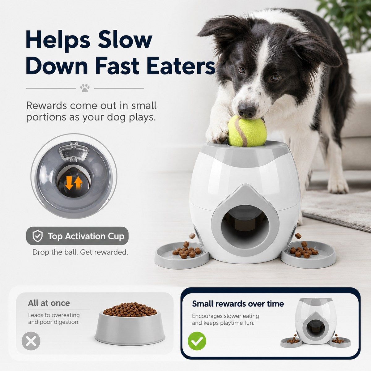 Ball-Activated Dog Puzzle Feeder – Play & Slow Eating