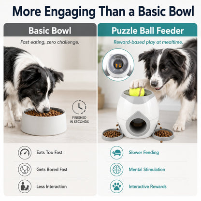 Ball-Activated Dog Puzzle Feeder – Play & Slow Eating