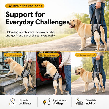 Dog Rear Support Lift Sling – Easier Stairs & Car Rides