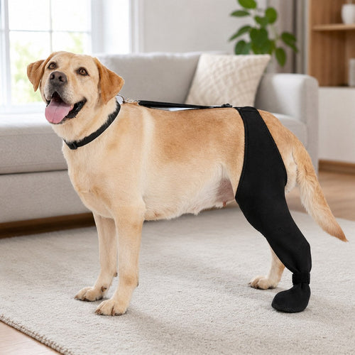 Rear Leg Recovery Sleeve with Paw Cover – Limits Licking