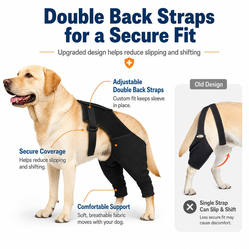 Dog Rear Leg Recovery Sleeve – Stops Licking