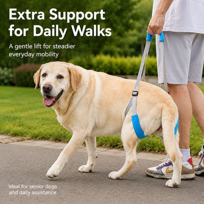 Dog Rear Lift Sling – Easier Stairs & Car Rides