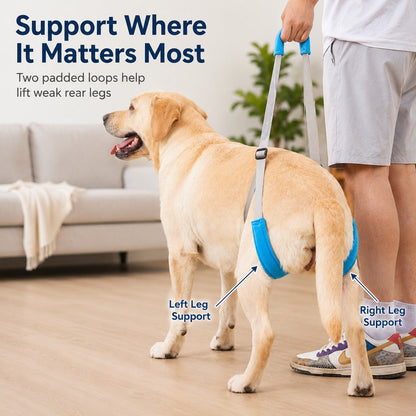 Dog Rear Lift Sling – Easier Stairs & Car Rides
