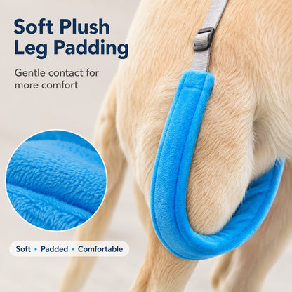 Dog Rear Lift Sling – Easier Stairs & Car Rides