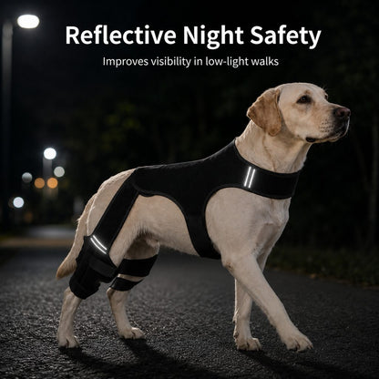 Dog Rear Leg Support Brace – Hind Leg Stability