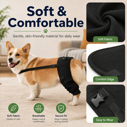 Hind Leg Dog Support Brace – Steadier Walking