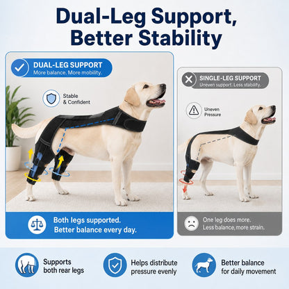 Dual Hind Leg Dog Support Harness – Walk & Stand Easier