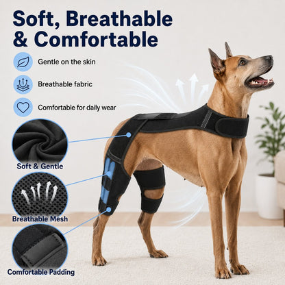 Dual Hind Leg Dog Support Harness – Walk & Stand Easier