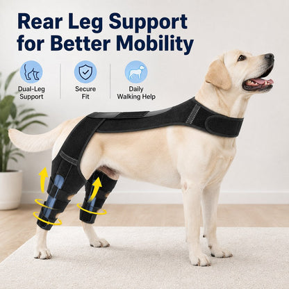 Dual Hind Leg Dog Support Harness – Walk & Stand Easier