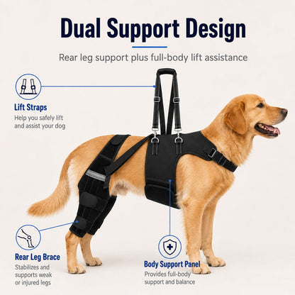 Senior Dog Rear Leg Harness – Walking Lift Support