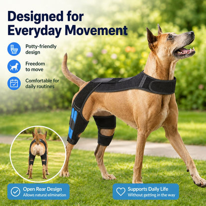 Dual Hind Leg Dog Support Harness – Walk & Stand Easier
