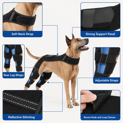 Dual Hind Leg Dog Support Harness – Walk & Stand Easier