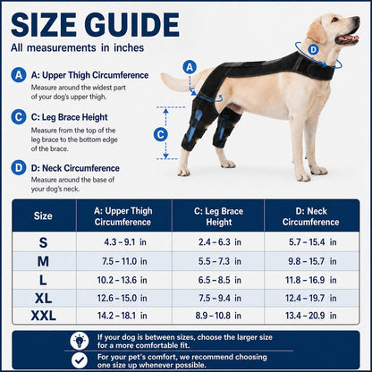 Dual Hind Leg Dog Support Harness – Walk & Stand Easier